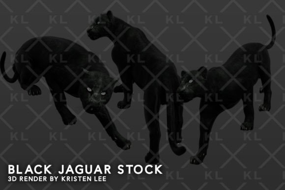 Download 3D Black Jaguar Transparent PNGs - Transparent pngs Collection